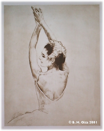 Detail of the hollys back etching