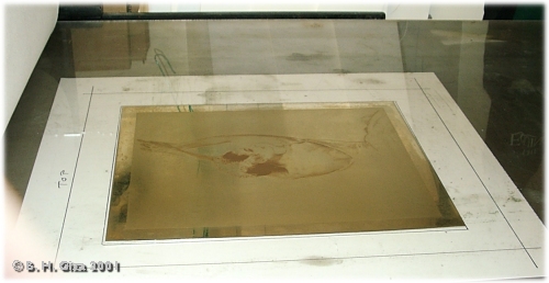 hollys back final proof on the press bed